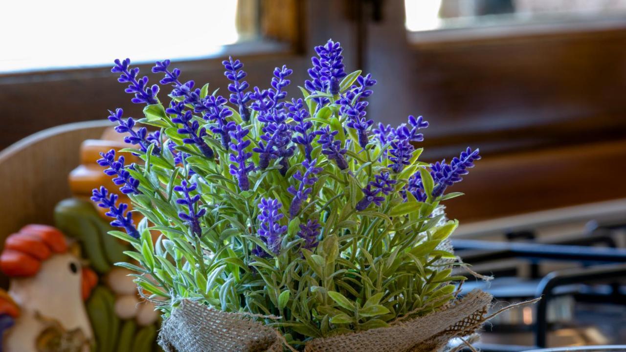 Il Cottage Di Patrizia Lukka Zewnętrze zdjęcie
